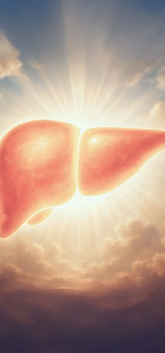 Liver