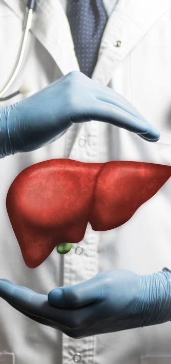 Liver